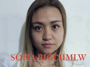 SOFIA_BIGCUMLW
