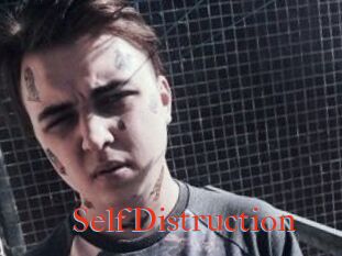 SelfDistruction
