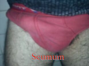 Seumum
