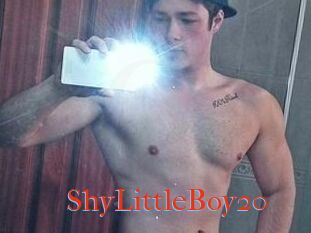 ShyLittleBoy20