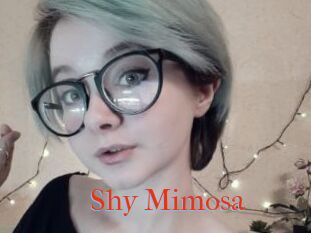 Shy_Mimosa