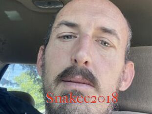 Snakec2018