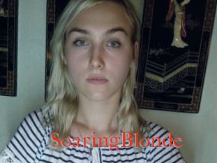 SoaringBlonde