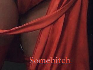 Somebitch