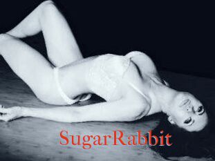 SugarRabbit