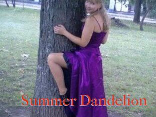 Summer_Dandelion