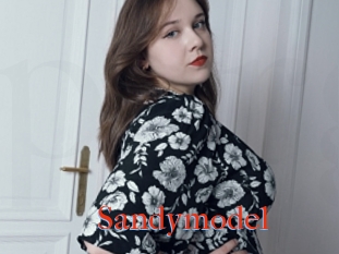 Sandymodel