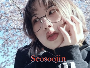 Seosoojin