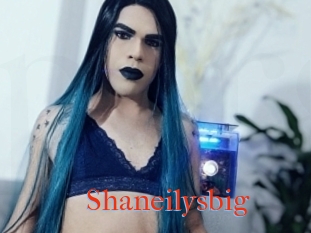 Shaneilysbig