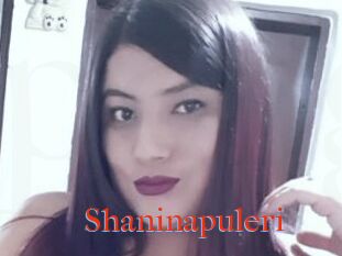 Shaninapuleri