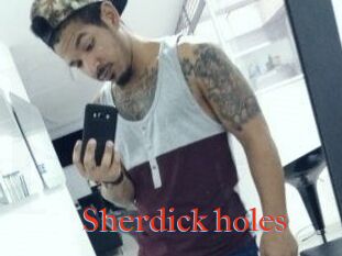 Sherdick_holes