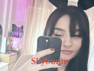 Shybunny