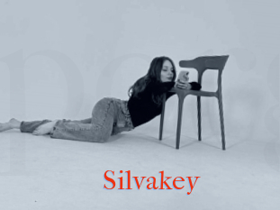Silvakey