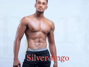 Silverdingo