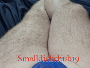 Smalldickchub19