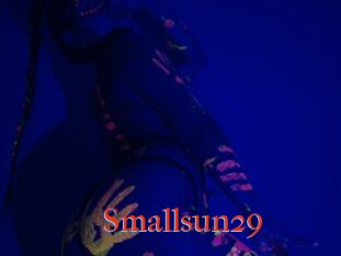 Smallsun29