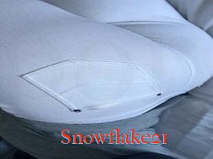 Snowflake21