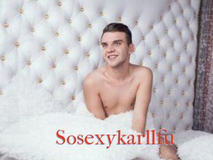 Sosexykarllfu