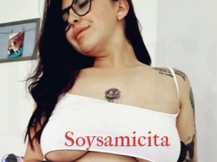 Soysamicita