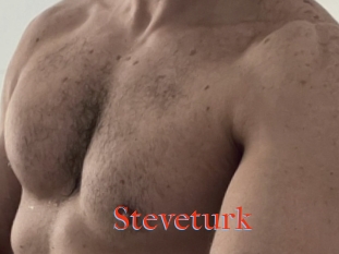 Steveturk