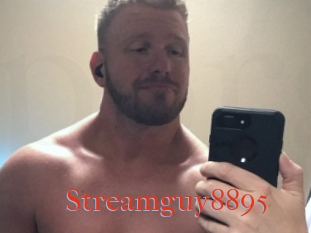 Streamguy8895