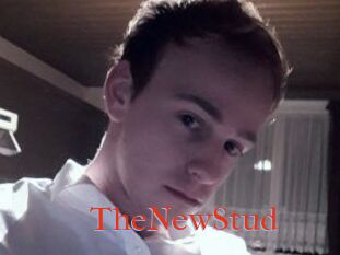 TheNewStud