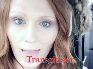 Transginger