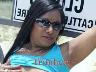 Triniheat