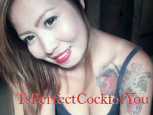 TsPerfectCockforYou