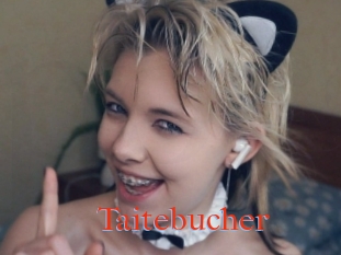 Taitebucher