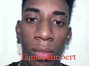 Tammylambert