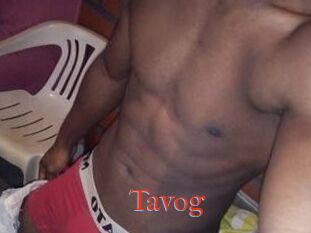 Tavog