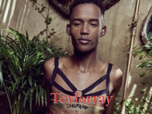 Teylorray