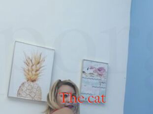 The_cat