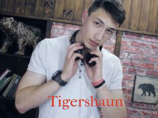 Tigershaun