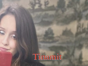 Tinamit