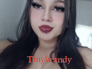 Tinybrandy