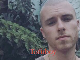 Tofu_boy