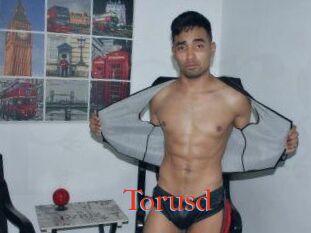 Torusd