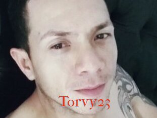 Torvy23