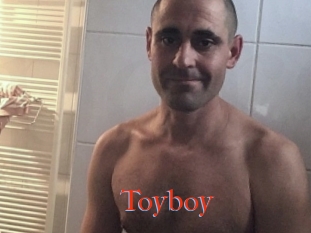 Toyboy