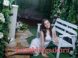 Tremblingsakura