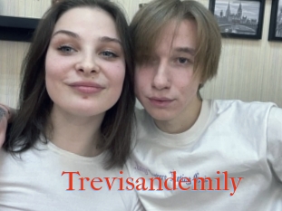 Trevisandemily