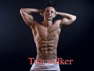 Troywalker