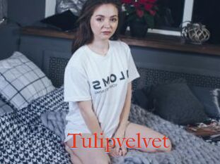 Tulipvelvet