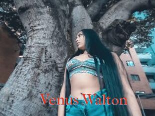 Venus_Walton