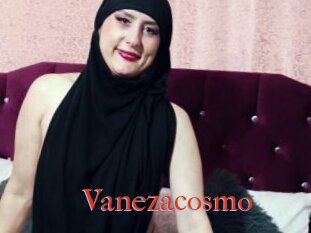 Vanezacosmo