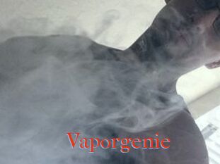 Vapor_genie