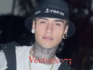 Vectorx073