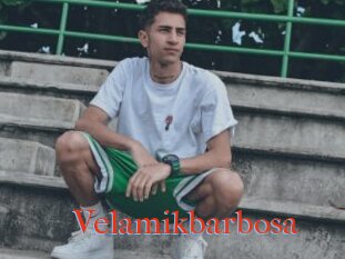Velamikbarbosa